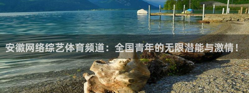 安徽网络综艺体育频道：全国青年的无限潜能与激情！
