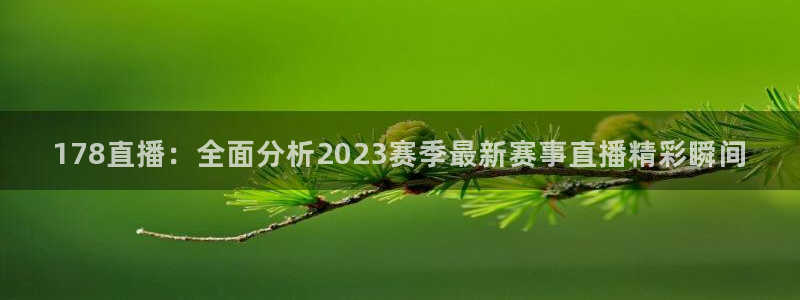 178直播：全面分析2023赛季最新赛事直播精彩瞬间